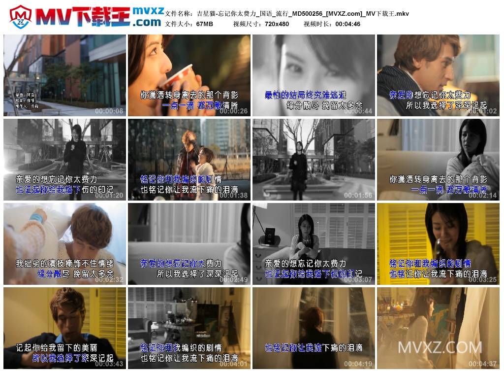 吉星猫-忘记你太费力_国语_流行_MD500256